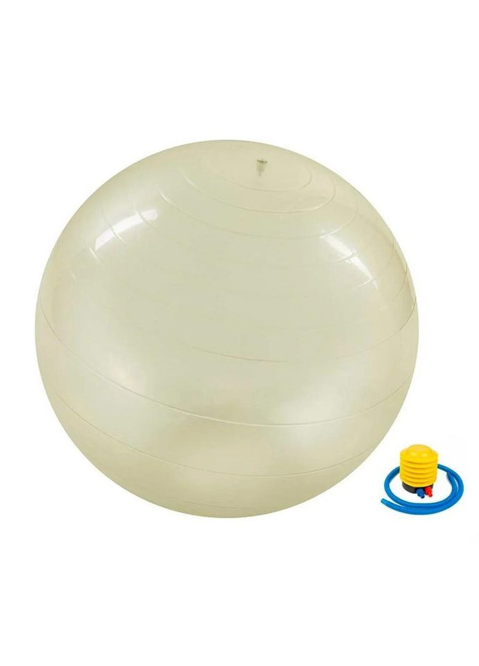 М'яч для фітнесу (фітбол) "HMS" NE-TRN19-65 65 см No Brand (330020624)