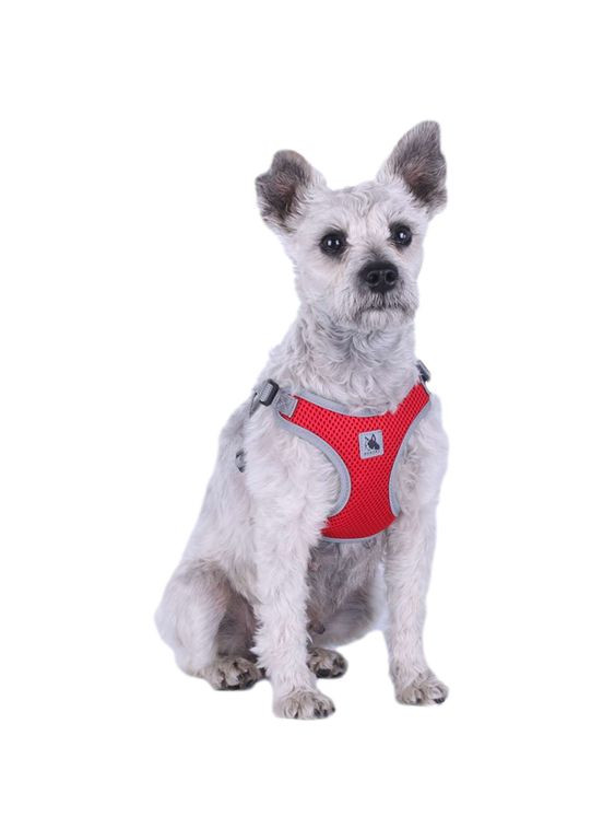 Шлей для собак Bororo легкий, дышащий материал No Brand (362571898)