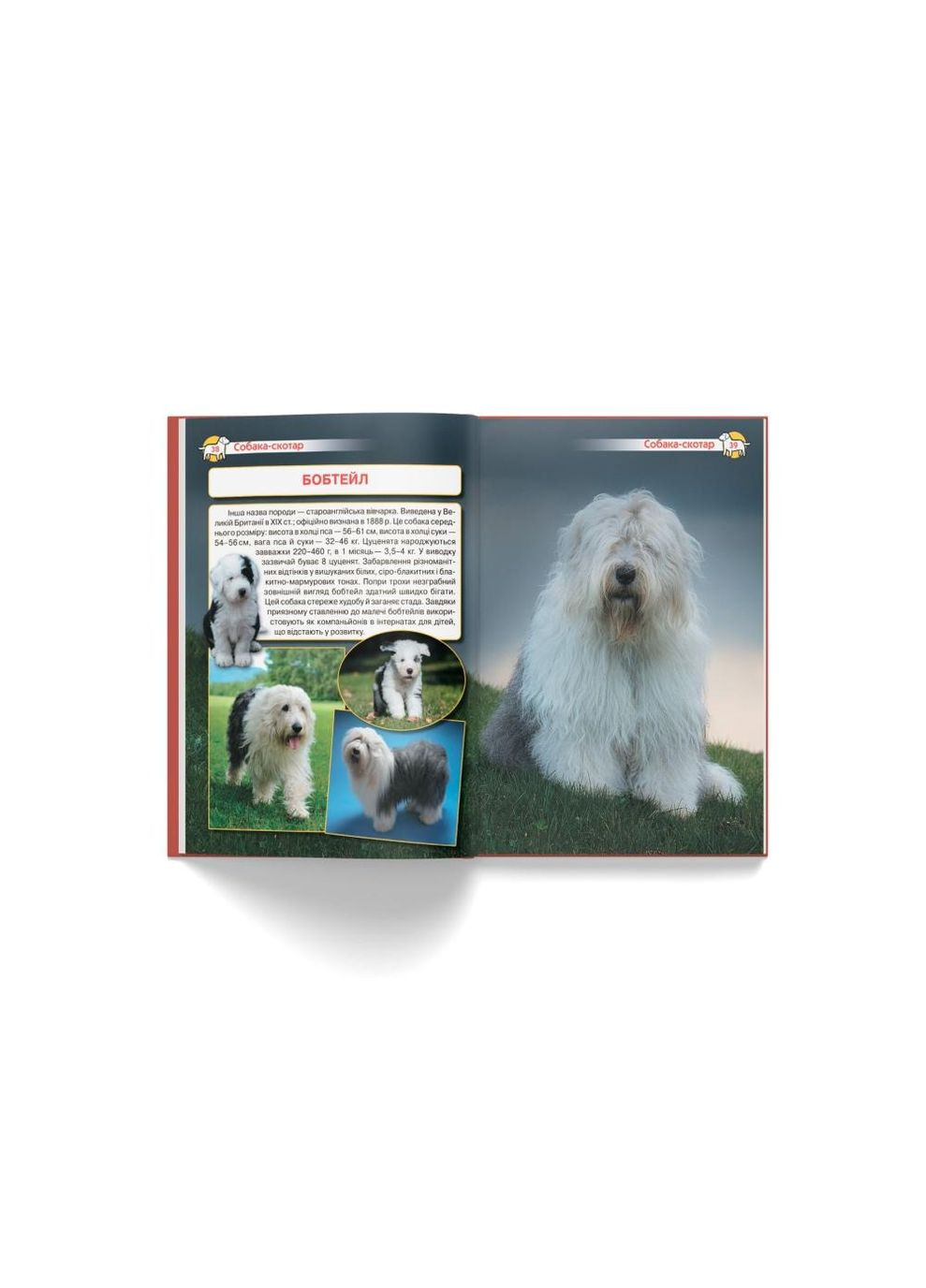 Книга "Енциклопедія. Собаки" Home (323201959)
