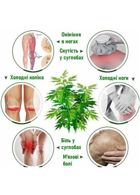 Бандаж на колінний суглоб із полину. M/40-50см. 2шт. Еластичний. Білий. Зігрівально-лікувальний. Бандаж коліна Bd pol_01 (307288251)