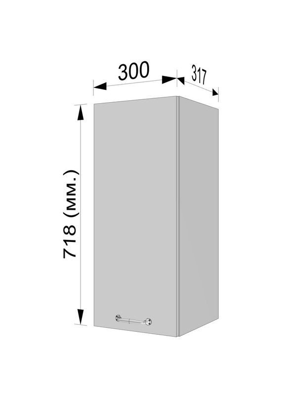 Шафа навісна на кухню 300 мм, шафка у ванну, верхній модуль для кухні N-016 No Brand (371909811)