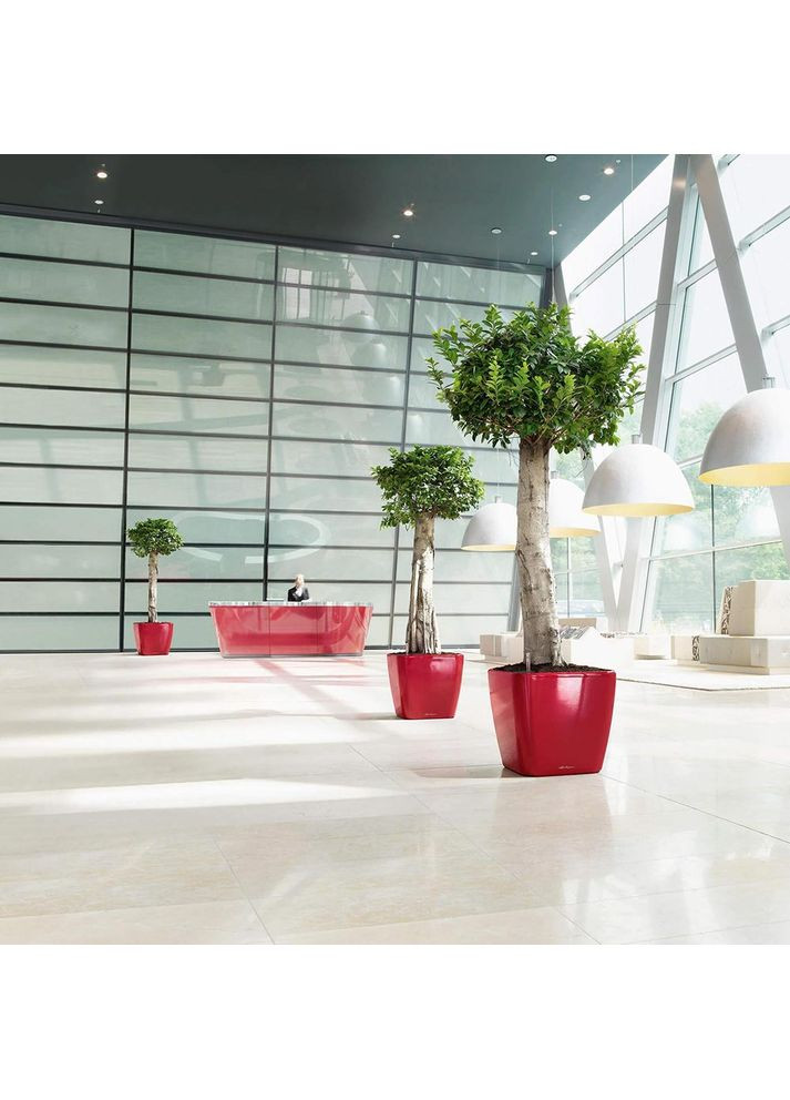 Кашпо Quadro Premium LS 50 Сіро-коричневий (16285) Lechuza (332613124)