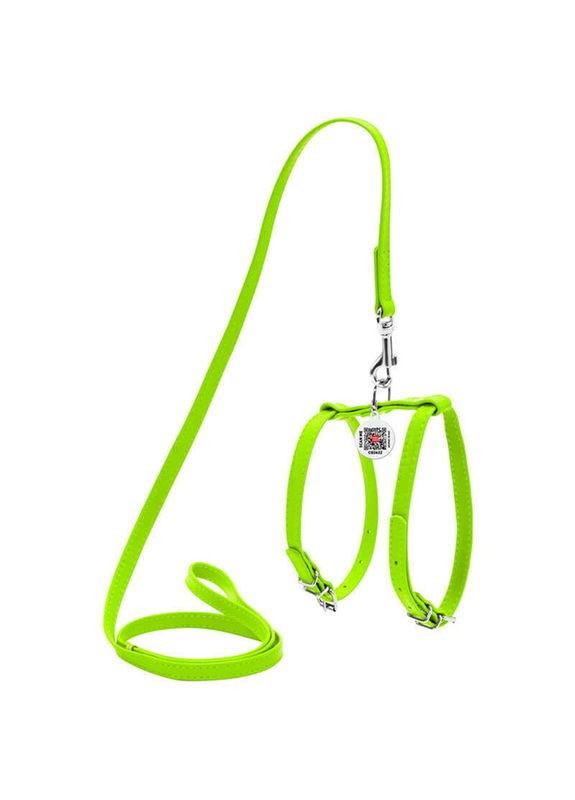 WAUDOG Glamour - Шлея шкіряна з QR паспортом і повідцем для собак - XS/1,2х25-33х35-43 см Collar (329141614)
