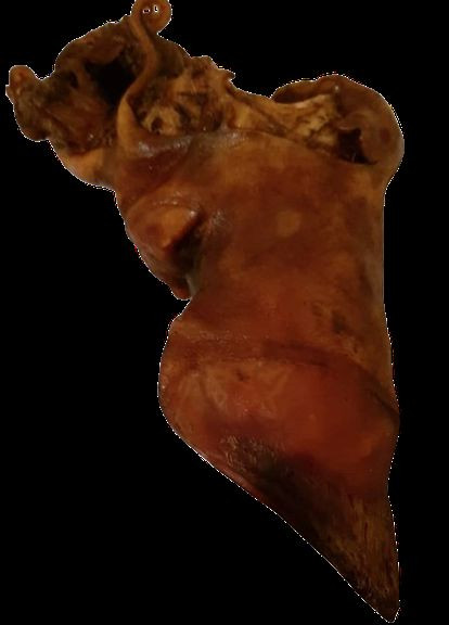 Натуральні ласощі для собак сушена нога бичка з житловою " " (Бетховен) 1 шт. Bethowen (328272428)