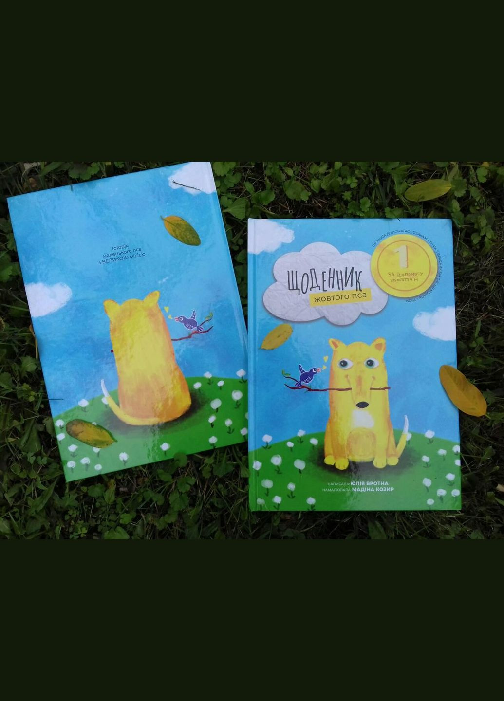 Книга Дневник желтого пса. Автор - Юлия Вротная, Мадина Козырь (Читай на украинском) No Brand (338873092)