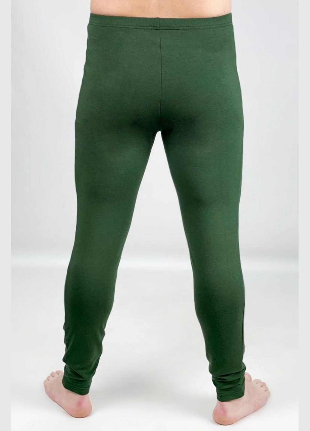 Чоловічі кальсони з віскози Libertine 1264/68315 green (299024042)