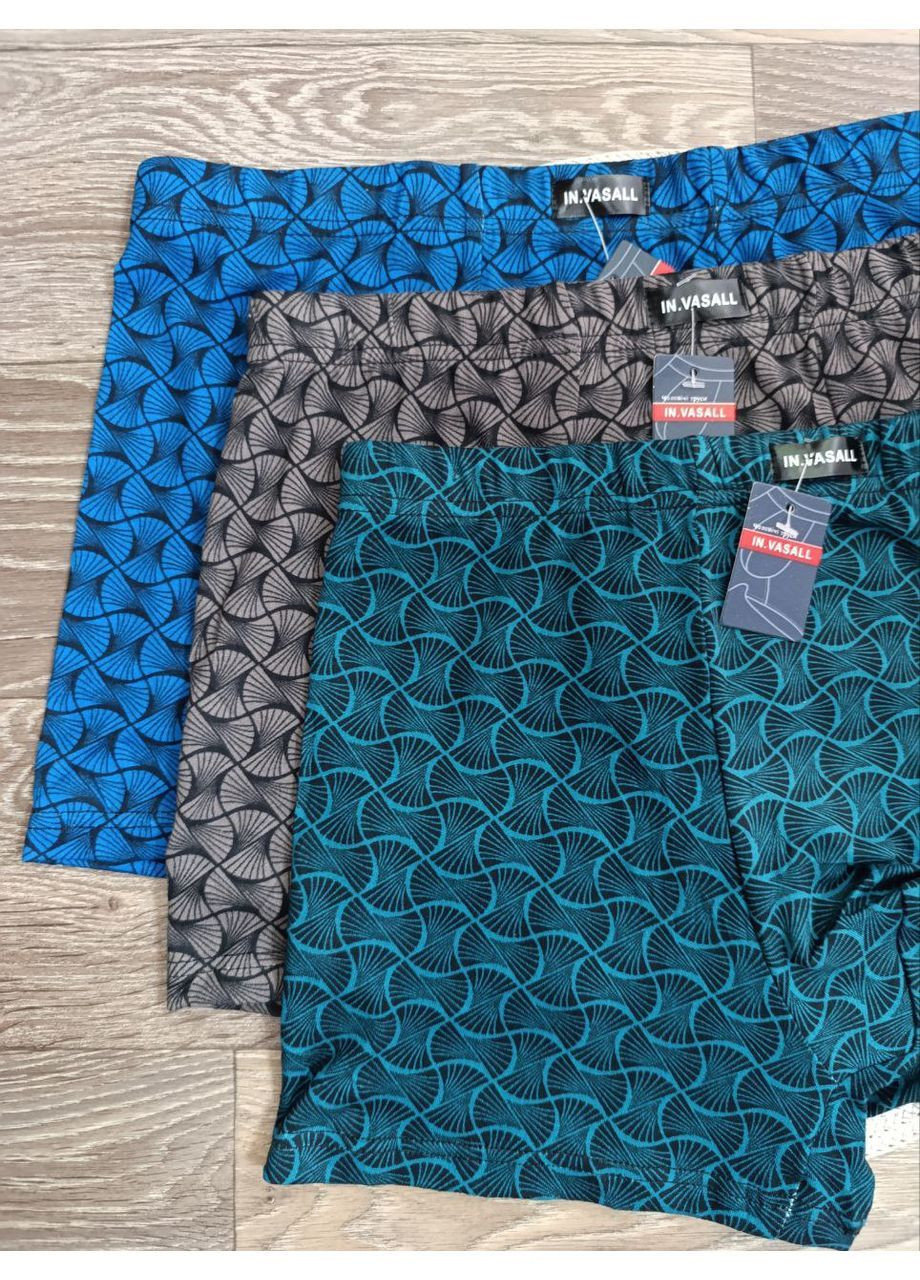 Трусы-боксеры мужские бамбуковые, мягкие и приятные для тела, (IN.Vasall), хорошо тянутся, размеры от ХL до 7XL Indena (364727724)