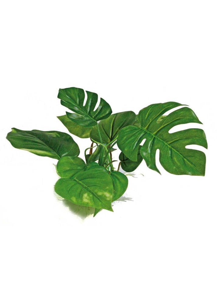 Растение пластиковое водоросли REP.ANUBIAS искусственное, Декорация для аквариума 15 см A8011400 Croci (280916412)