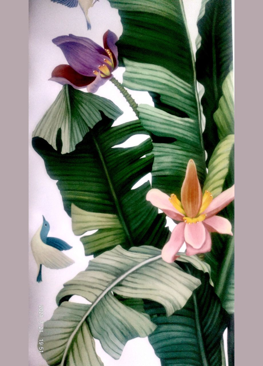 Вінілова інтер'єрна наклейка на стіну Бананове дерево яке квітне (лист 60 х 94 см) Б455-1 No Brand (302242510)