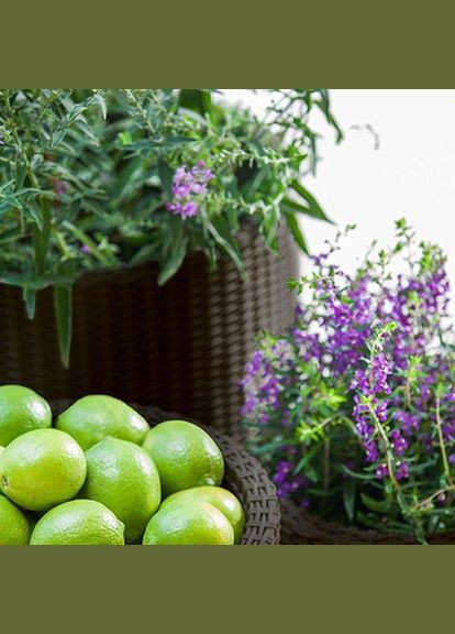 Вазон Cylinder Planter S 7 л коричневий Keter (316623127)