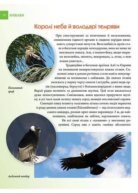 Енциклопедія для допитливих А5: Хижаки (Українська, 01 КРЕЙДОВАНИЙ ) Талант (370076339)