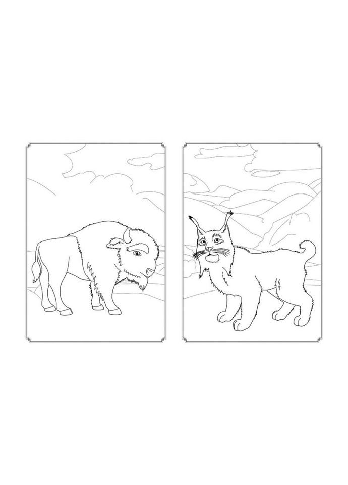 Розмальовка Магія кольору. Всесвіт Мавки Ранок 1807001 з наклейками Ranok Creative (305077680)