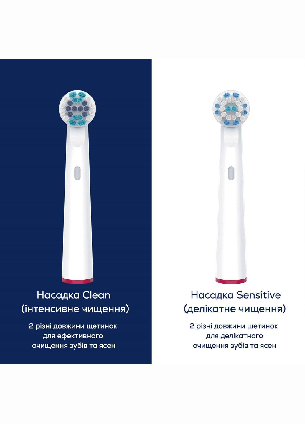 Щітка зубна електр., насадок-1, 2 програми чистки, Beurer (314778439)