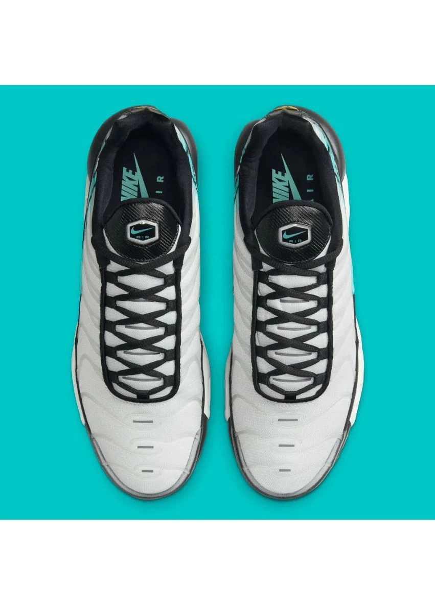 Бежеві кросівки air max plus Nike