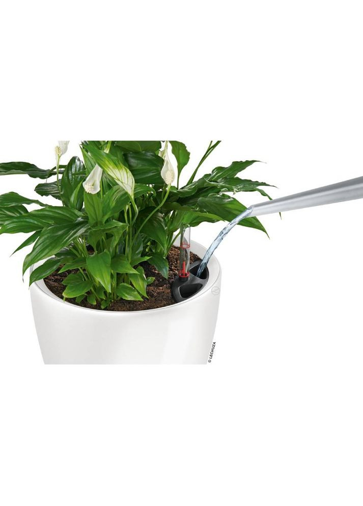 Кашпо Classico Premium LS 28 White (16040) Lechuza (323092659)