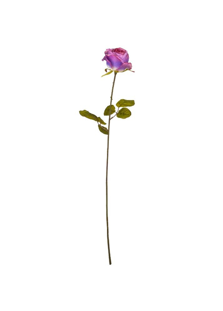 Роза "Лора", фиолетовая, 66 см ELISEY (322248751)