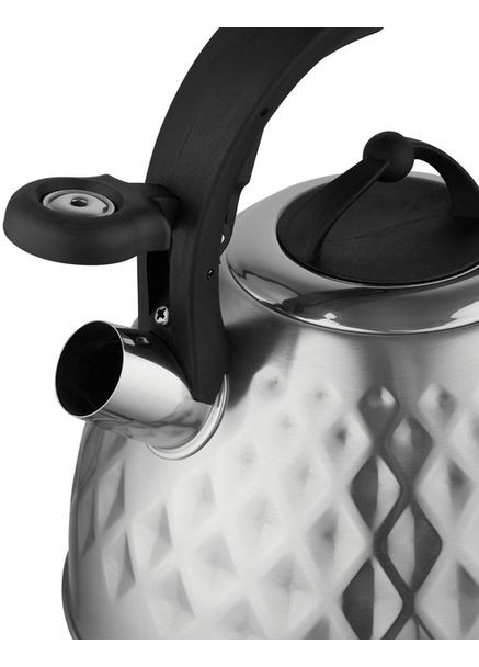 Чайник со свистком 5C0225 FENNY SATIN (2,5л) Florina (360401931)