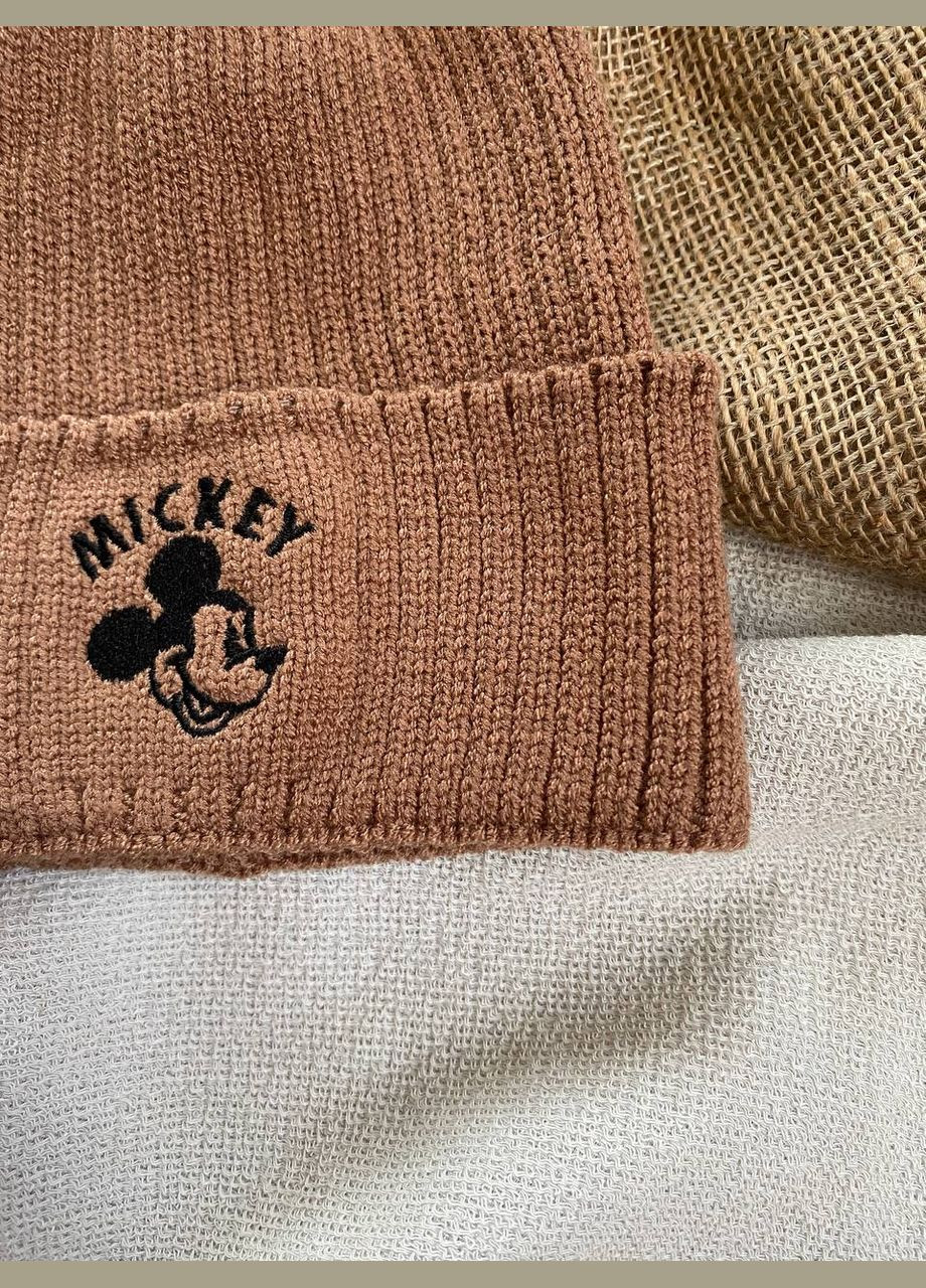 Детская коричневая шапка на 2-4 года Talvi Мікк (307837704)