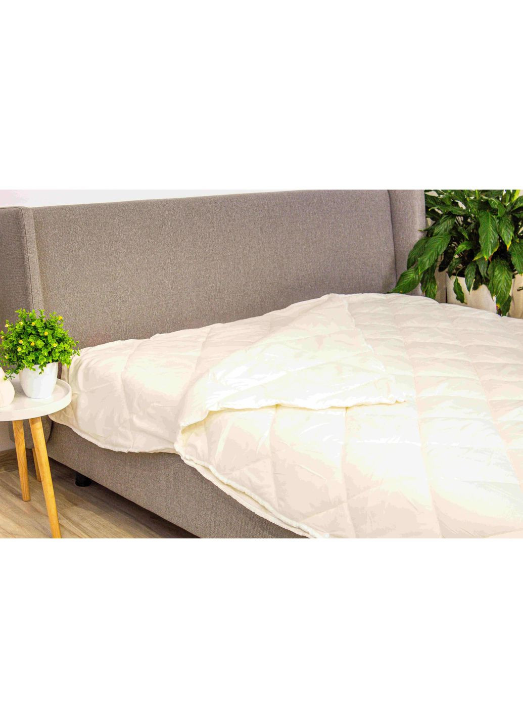 Ковдра FRIENDLY FOUR SEASONS, 180x210 ТЕП (363133367)