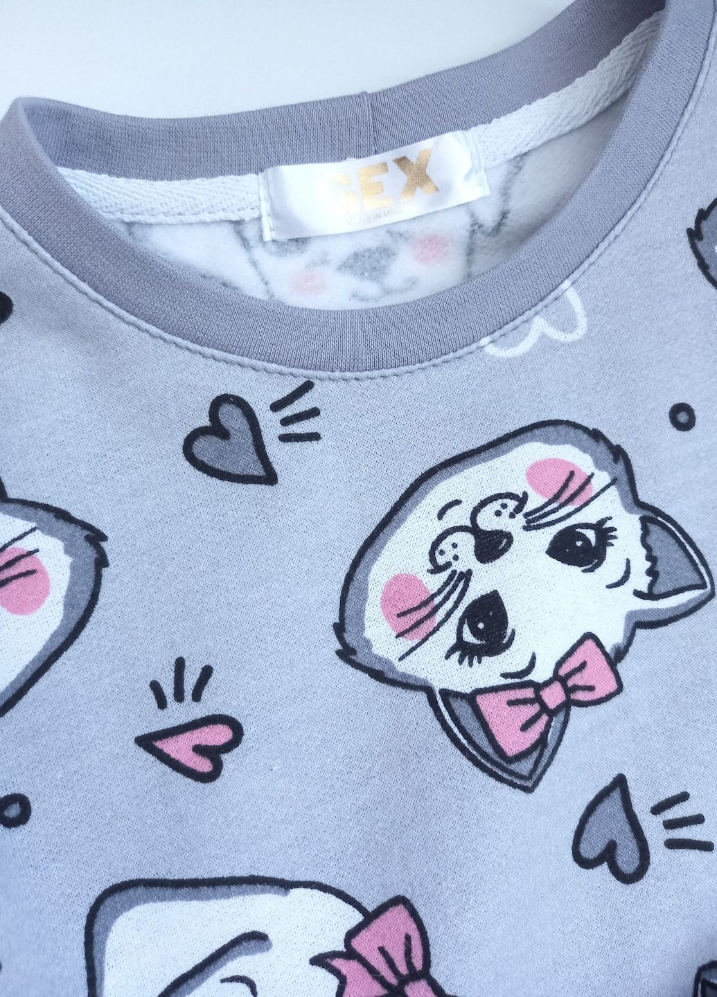 Сірий демісезонний костюм кот та собака GEX Костюм