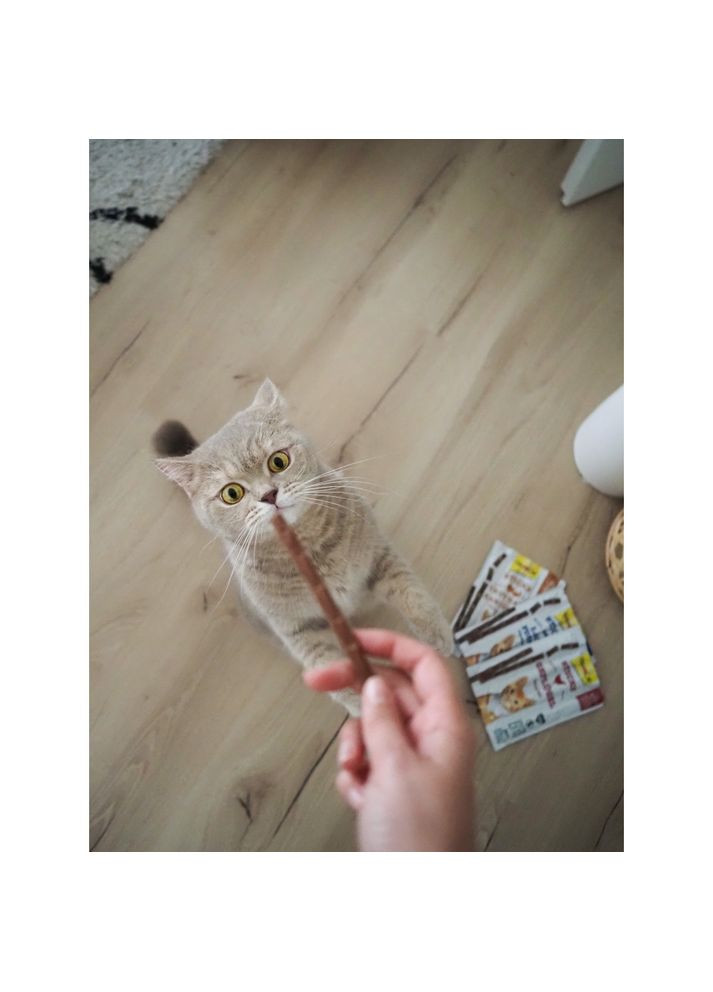 Мясные палочки для кошек, индейка и кролик, 4 шт GimCat (355255434)
