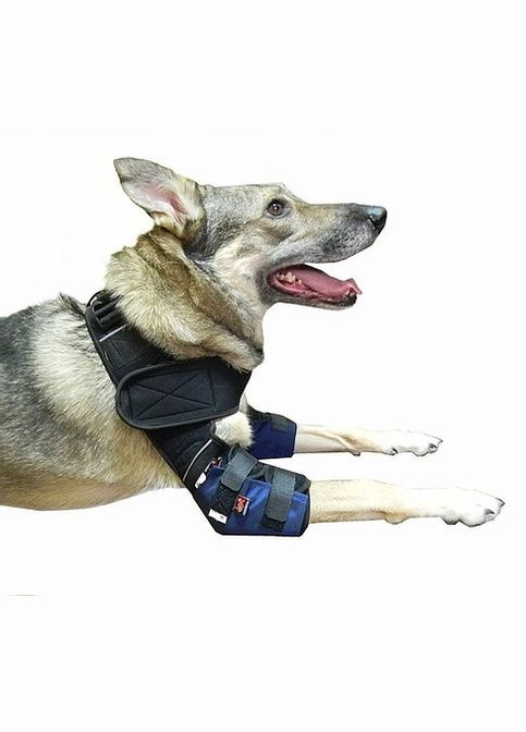 Налокітники для собак модель Outdoor (Чохол Синій) розмір M+ Frakishtak (304421796)