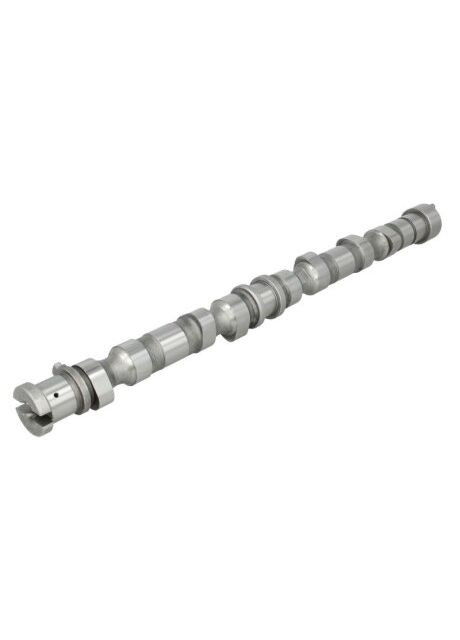 Вал розподільчий HYUNDAI D4EA/D4EB CM05-2191-ua Freccia (366179100)