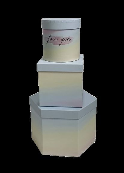 Подарункові коробки Y004 Набір 3 шт Gradient mix (6990795) UFO (316391414)