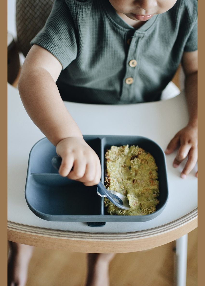 Тарелка силиконовая порционная, минерал () Beaba 913548 (328398538)