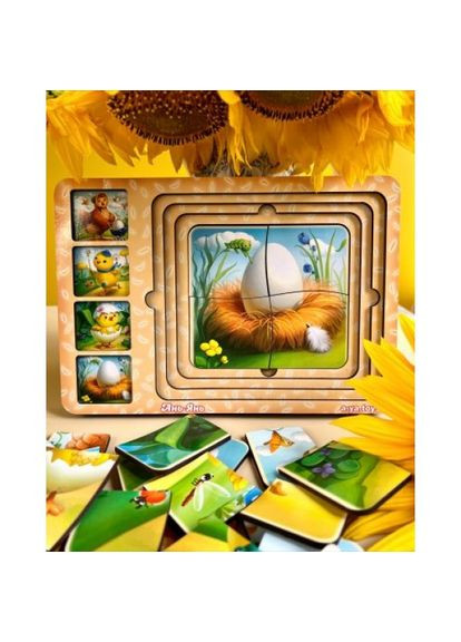 Сортер-пазл "Етапи розвитку курочки" Ань-Янь (318017114)