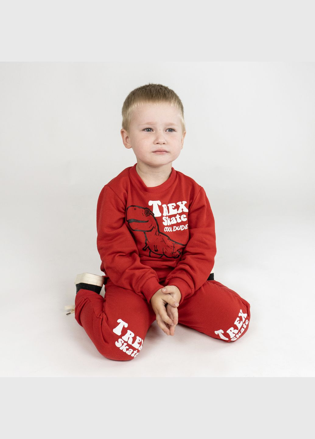 Костюм детский джемпер и штаны Dexter`s trex на начесе dexter's (302211053)