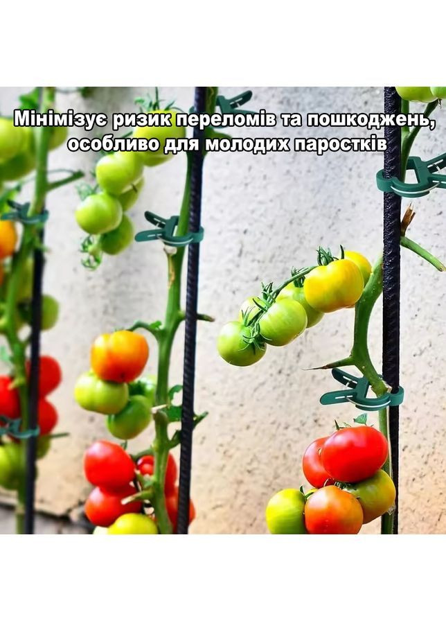 Клипсы-фиксаторы садовые большие для подвязки и фиксации растений и томатов 6х5см 20шт No Brand (370287174)