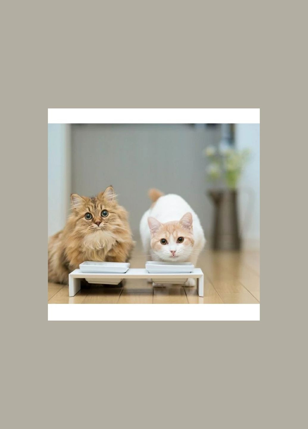 Соус "Поедайка" ТМ Моника для кошек и собак вкус "Птица" 85г. No Brand (328600587)