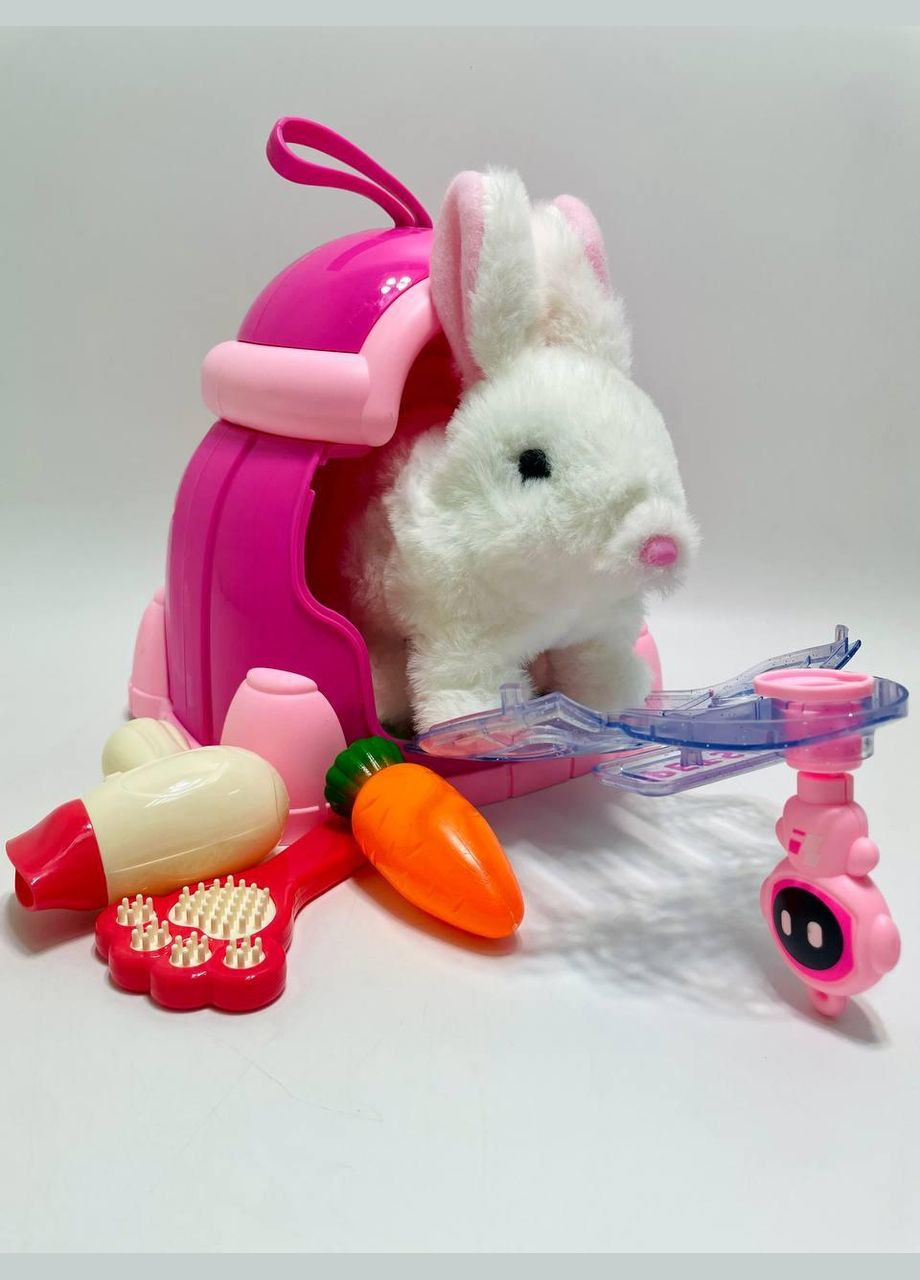 Любимец зайчик 031-1 A (32/2) ходит, переноска, аксессуары, в боксе No Brand (322463832)