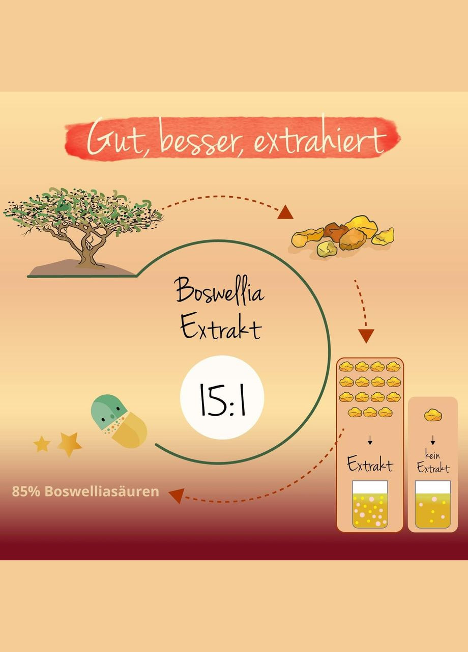 Ладан 500 мг ® 120 капсул Vegavero (299717709)