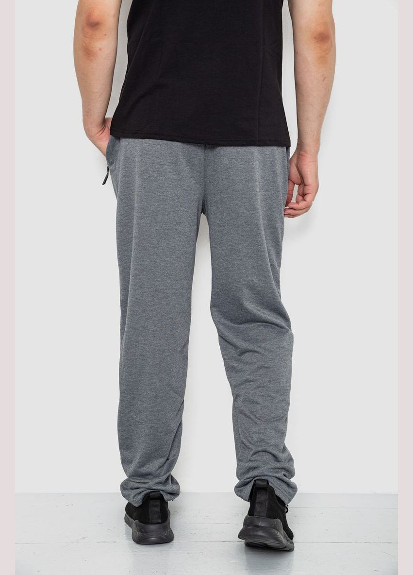Серые спортивные демисезонные брюки Ager