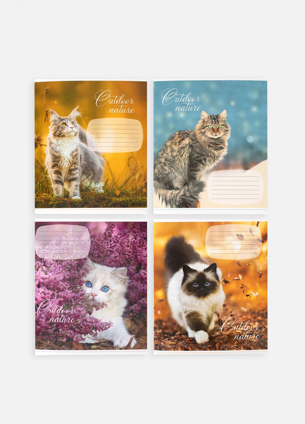 Зошит у лінійку 24 аркушів колір різнокольоровий ЦБ-00255159 Фабрика Поліграфіст (307362569)