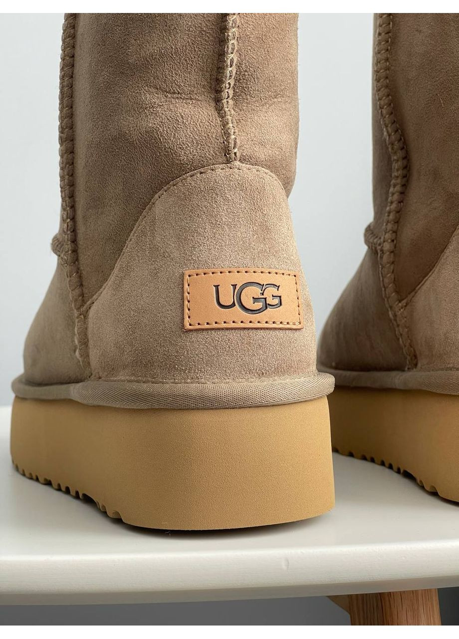 Short Platform Уггі замшеві високі Платформа UGG (361155021)