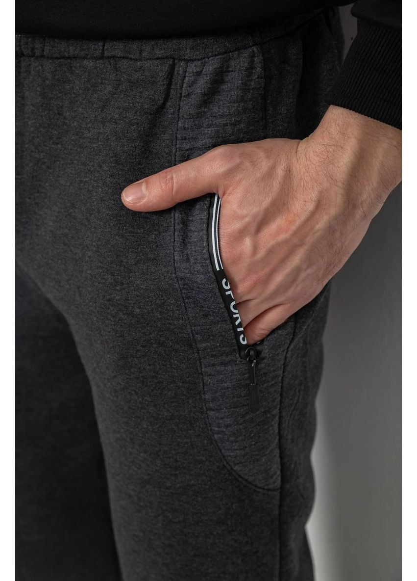 Серые спортивные демисезонные брюки Ager