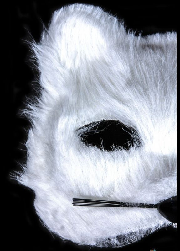 Маска кота для квадробіки Біла No Brand (342064585)