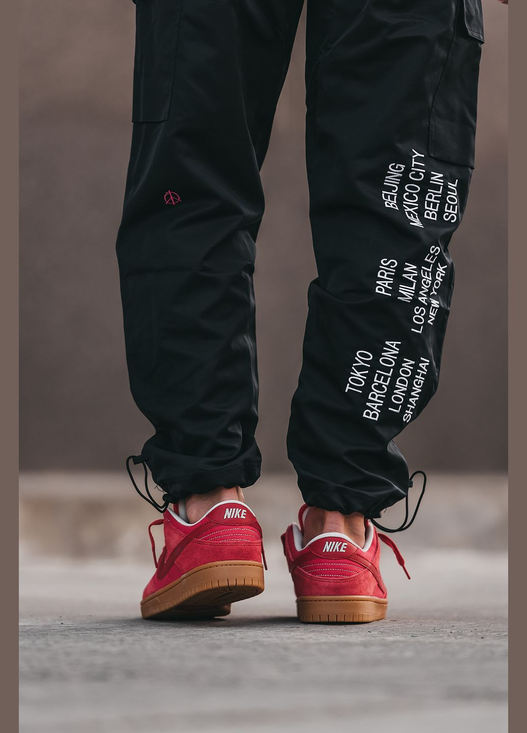 Красные демисезонные кроссовки мужские nike sb dunk low red | найк сб данк низкие красные красные No Brand