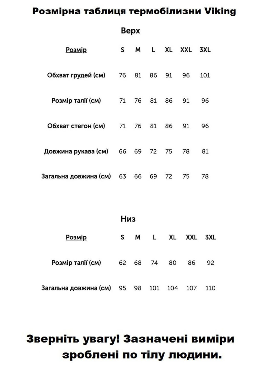 Термобілизна чоловіча Dante комплект термокофта термоштани синій - 500151717-15 - XXL Viking (369156899)