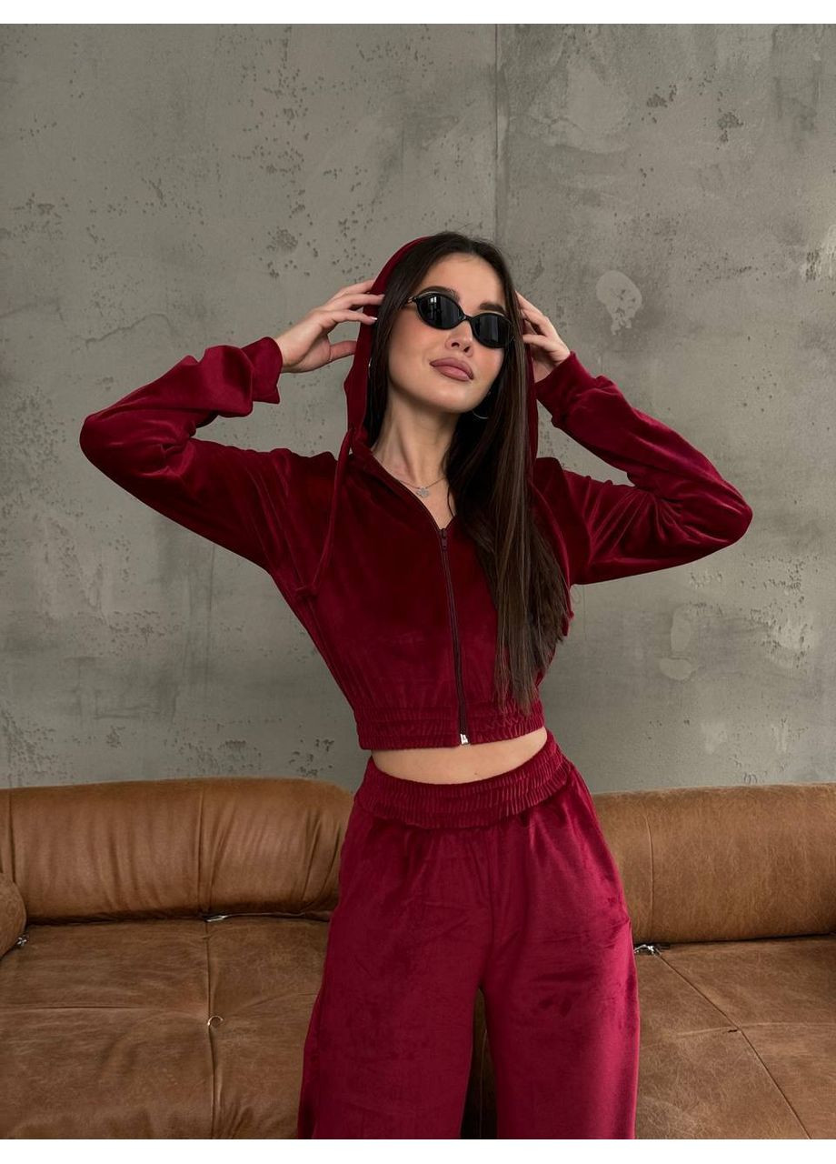 Женский спортивный костюм из мягкого велюра Україна (361071511)