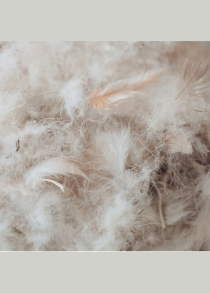 Ковдра Raffaello 053 зима+ 200x220 см 8061875 Mirson (316612993)