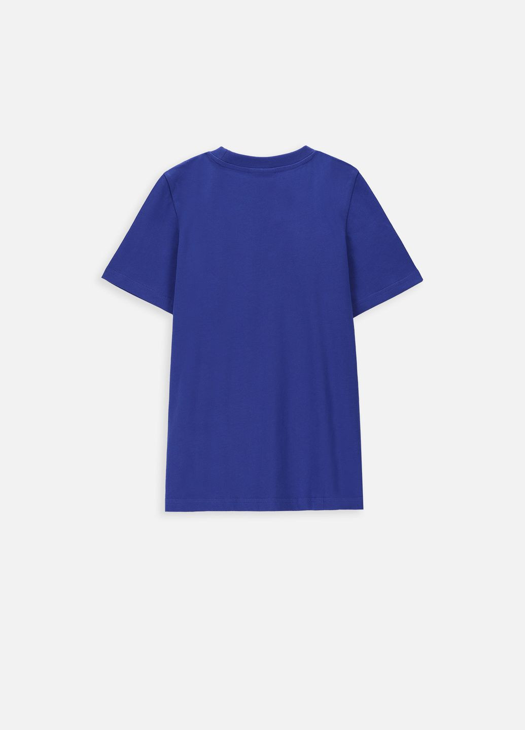 Светло-синяя футболка Coccodrillo