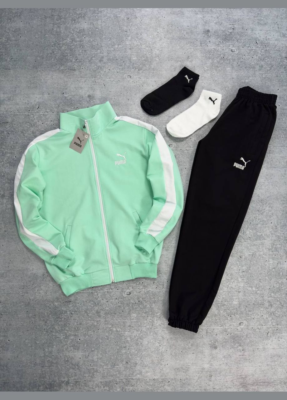 Костюм : кофта-штани 2 пари шкарпетки у подарунок No Brand (317322186)