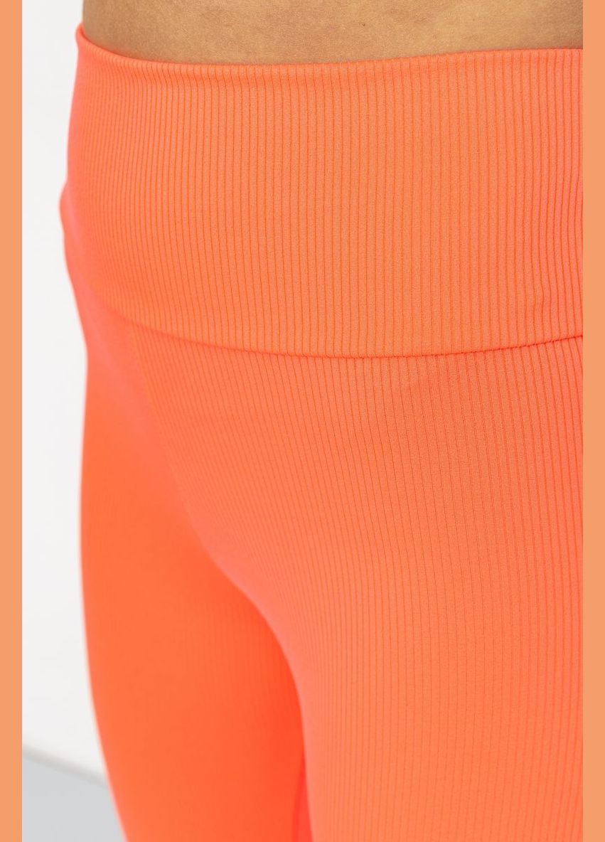 Лосини жіночі в рубчик Ager (316579338)