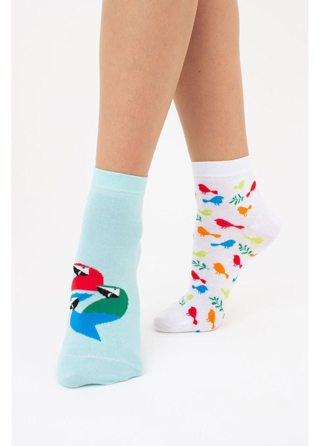 Голубые набор женских носков 2 пары Giulia анималистичные (351854722)