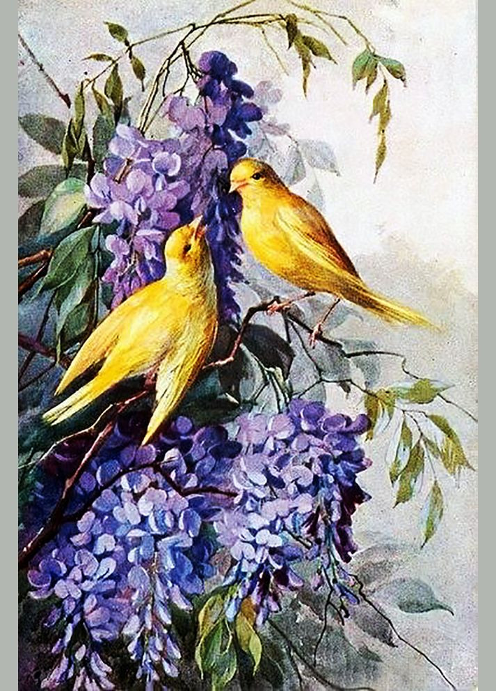 Набір алмазної вишивки "Кохання в гліцинії" Чарівний діамант (301278939)