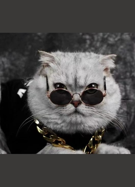 Очки для собак Pet Style 8 см Фиолетовые No Brand - (323223633)